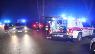 Vier teils Schwerverletzte: Auto bei Verkehrsunfall in Kremsmnster frontal gegen Baum gekracht