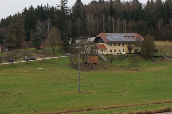 Mordversuch mit Mistgabel: Streit in einer Betreuungseinrichtung in Neukirchen am Walde eskalierte