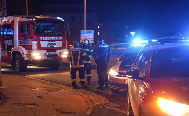 fackelreste-feuerwehr-zu-brennender-kreisverkehr-statue-nach-thalheim-bei-wels-alarmiert