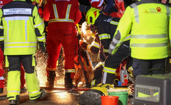 steinerkirchen-an-der-traun-hund-durch-feuerwehr-mit-h-henrettern-aus-jauchegrube-gerettet