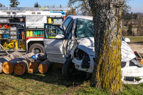 Frontalcrash gegen Baum: Verkehrsunfall in Schllberg fordert zwei Schwerverletzte